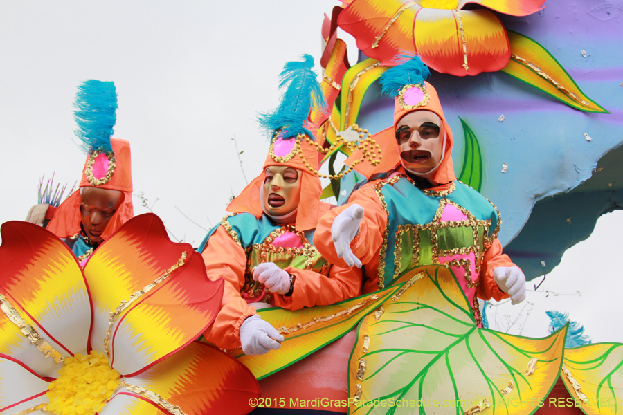 Rex-Organization-2015-19481