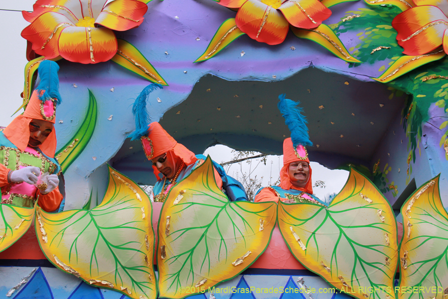 Rex-Organization-2015-19482