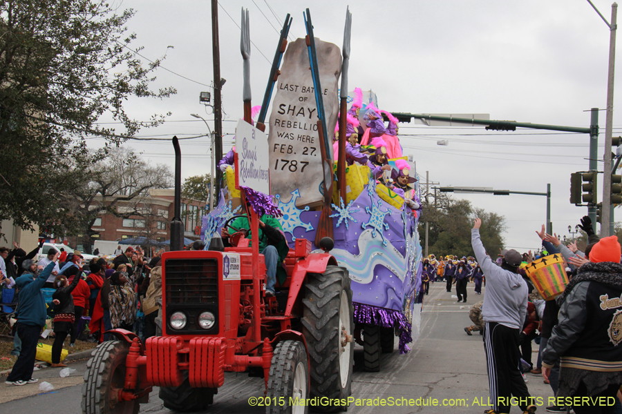 Rex-Organization-2015-19485