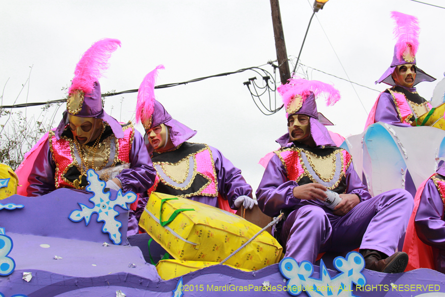 Rex-Organization-2015-19486