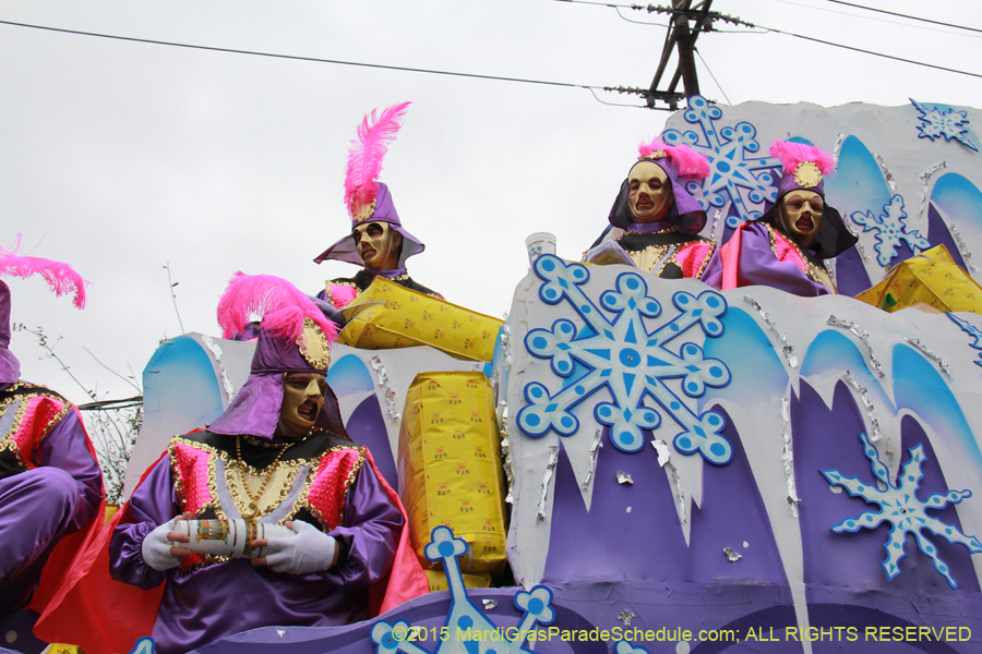 Rex-Organization-2015-19487