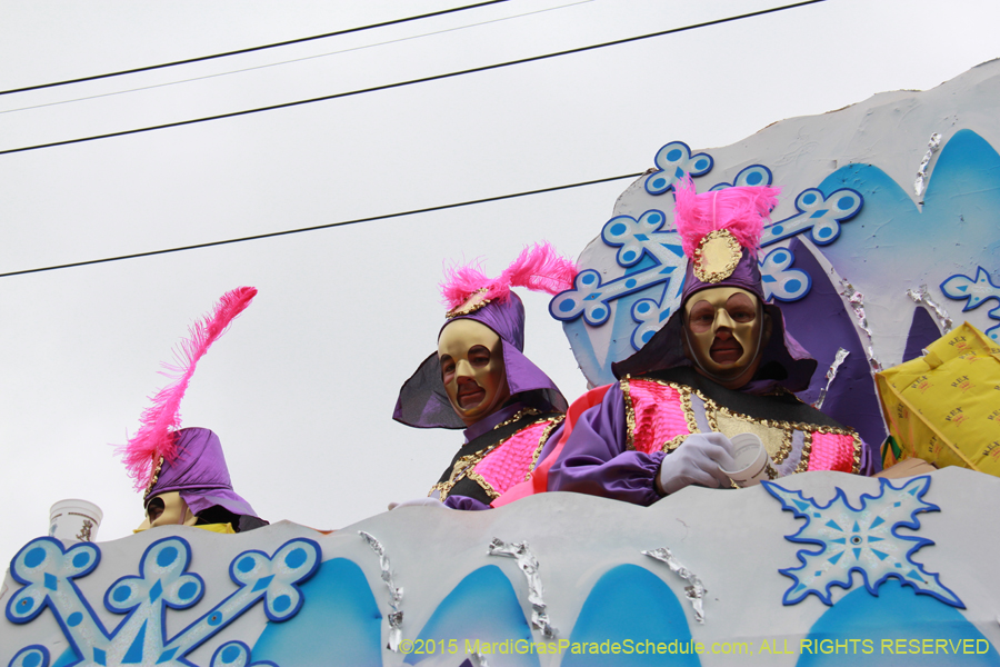 Rex-Organization-2015-19488