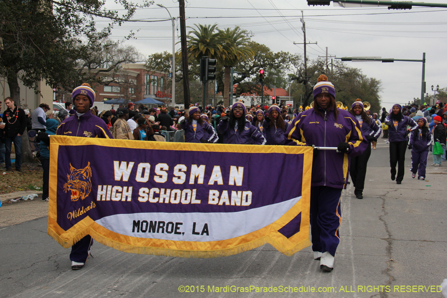 Rex-Organization-2015-19489