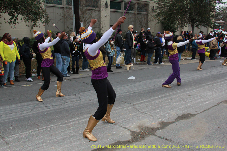 Rex-Organization-2015-19490