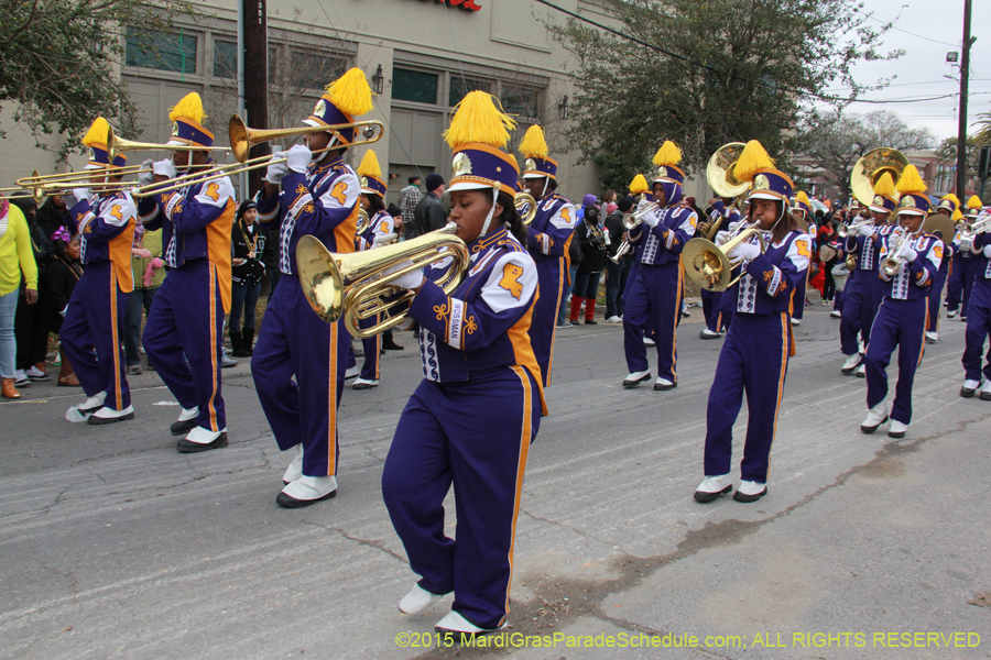 Rex-Organization-2015-19491