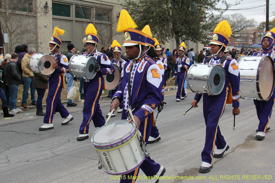 Rex-Organization-2015-19492