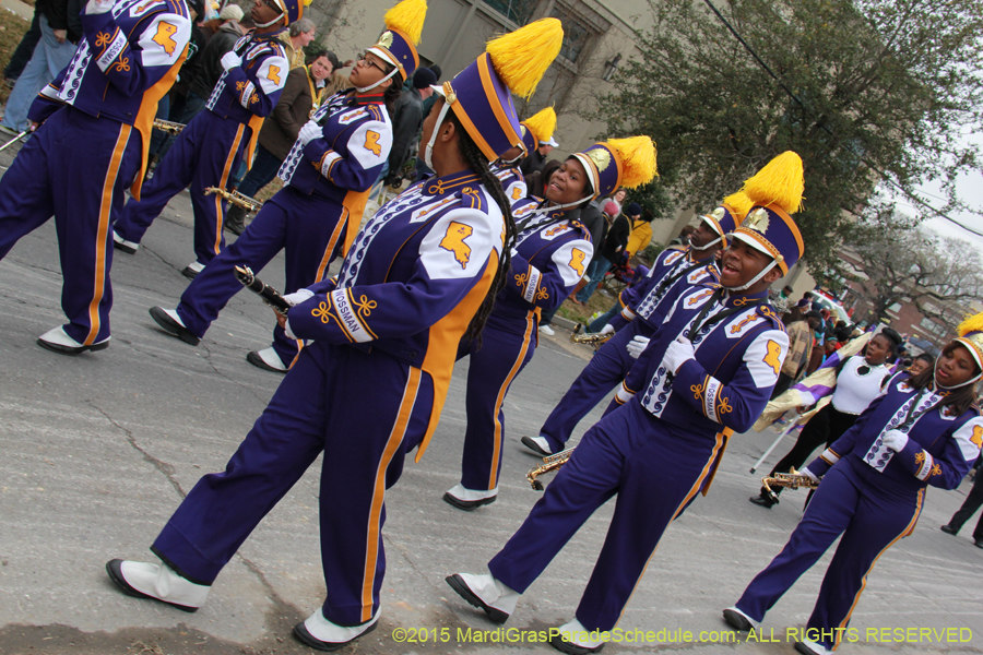 Rex-Organization-2015-19493