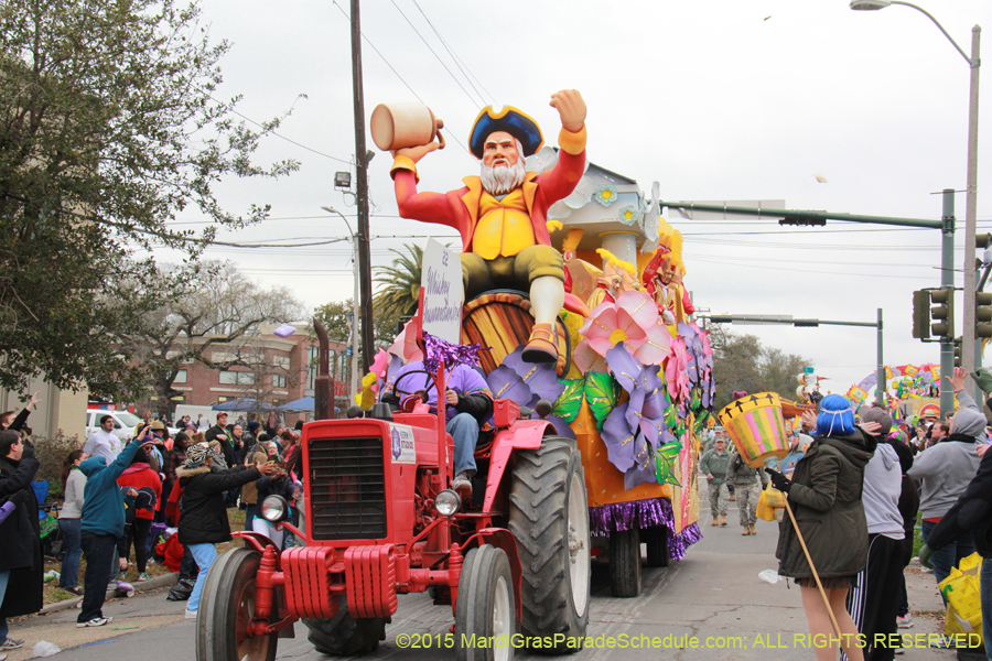 Rex-Organization-2015-19494