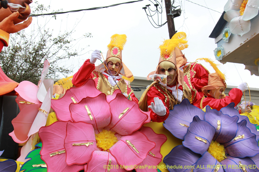 Rex-Organization-2015-19495