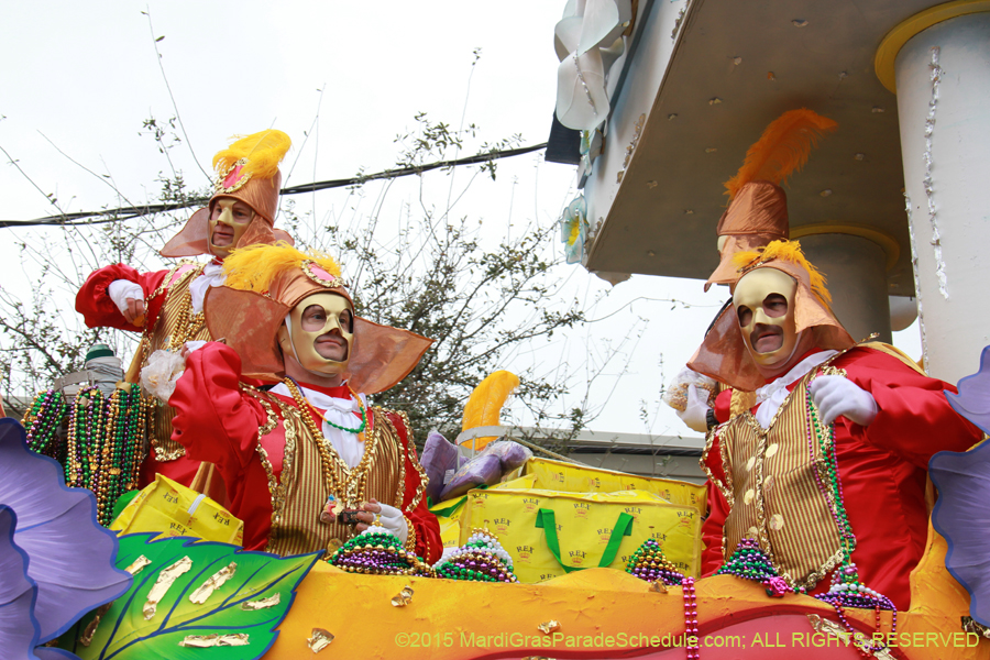 Rex-Organization-2015-19496