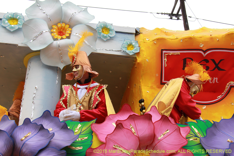 Rex-Organization-2015-19497