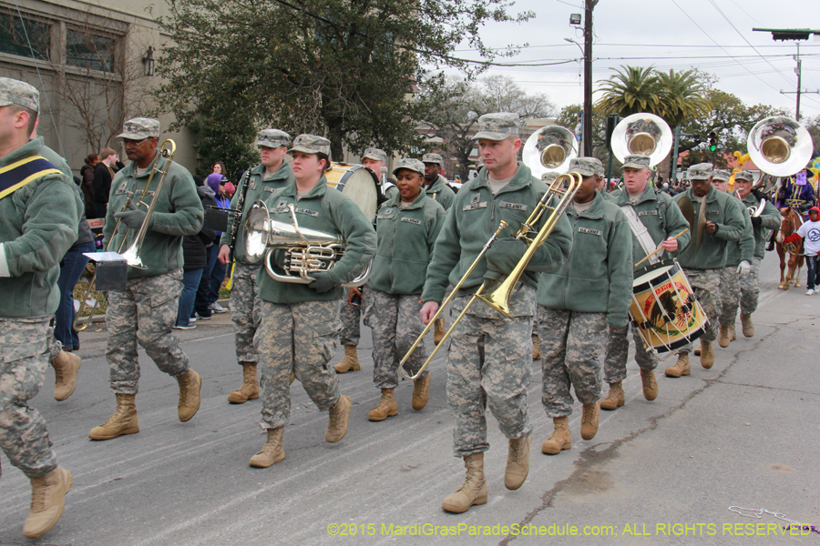 Rex-Organization-2015-19499