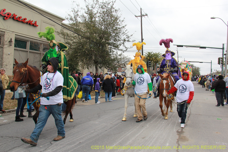 Rex-Organization-2015-19501