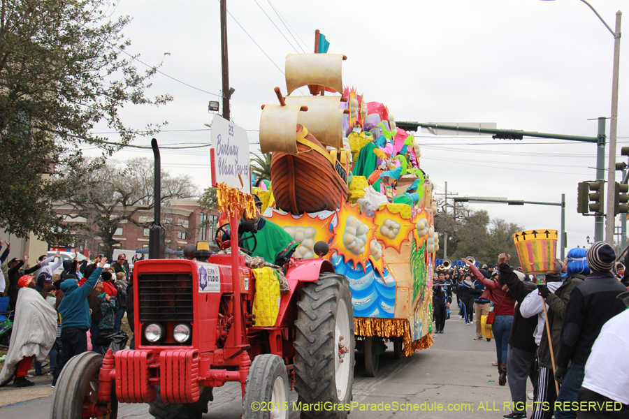 Rex-Organization-2015-19502