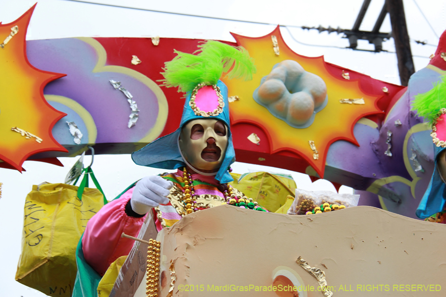 Rex-Organization-2015-19505