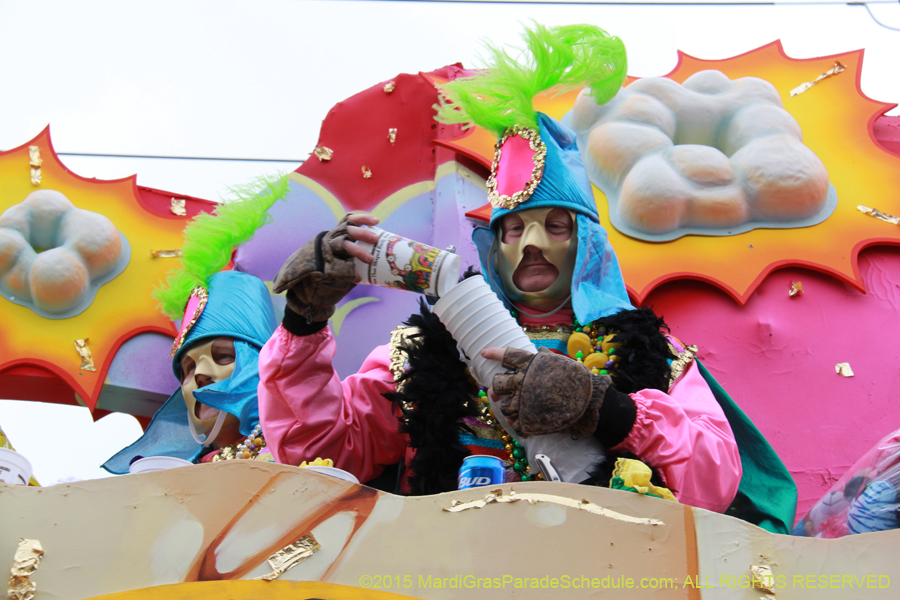 Rex-Organization-2015-19506