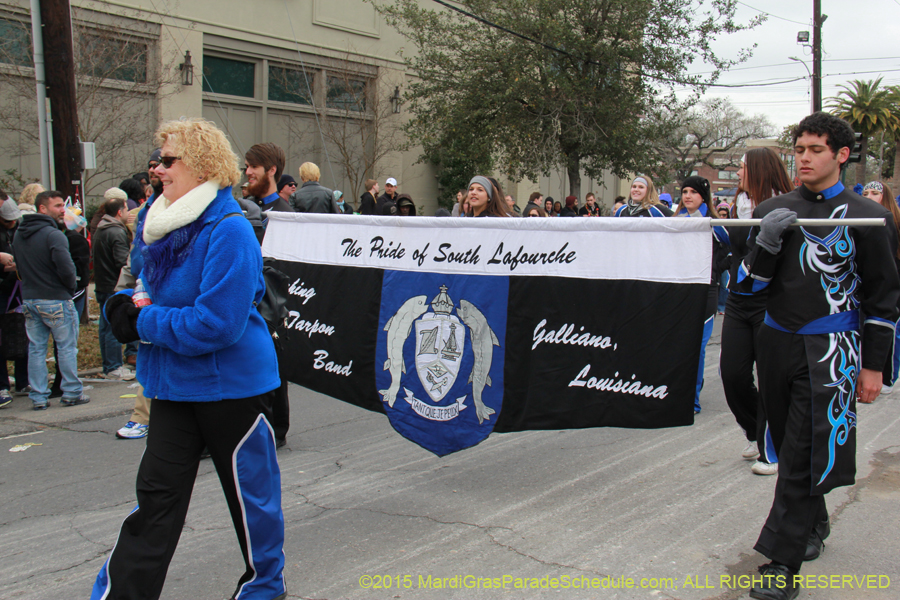 Rex-Organization-2015-19507