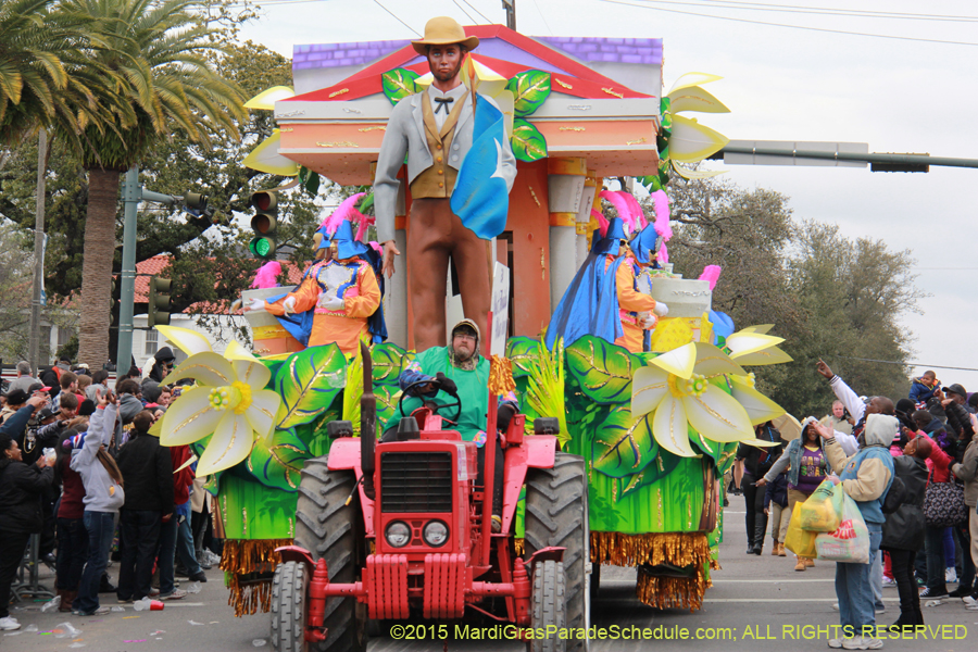 Rex-Organization-2015-19511