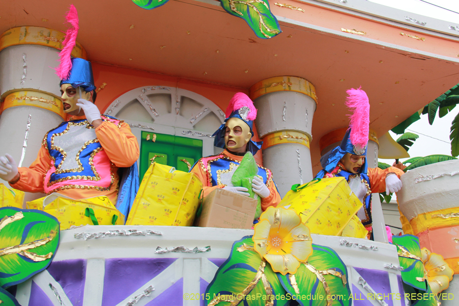 Rex-Organization-2015-19513