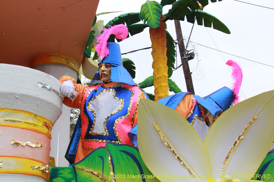 Rex-Organization-2015-19514