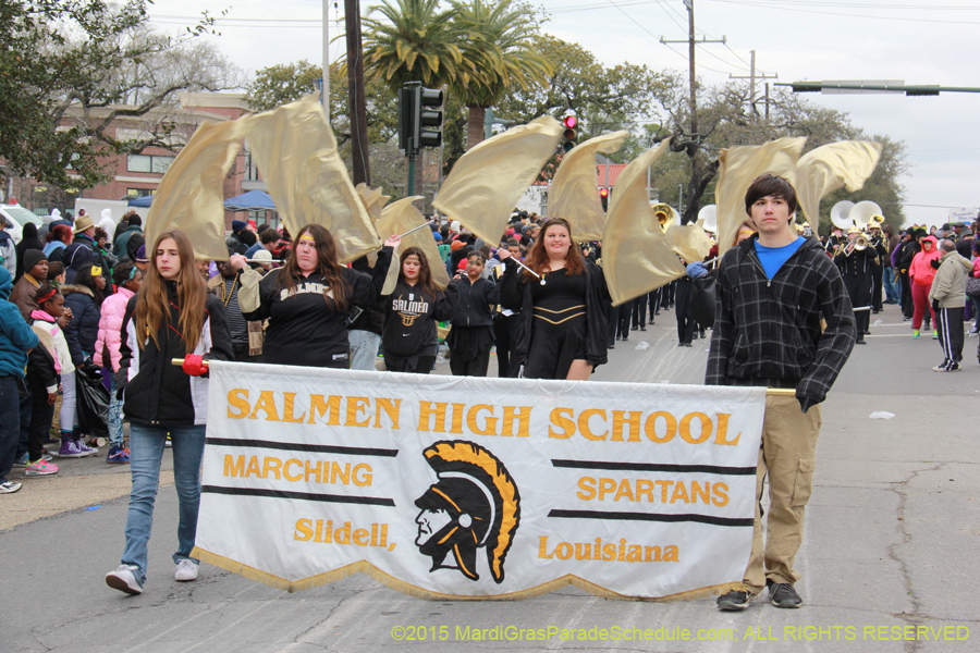 Rex-Organization-2015-19515