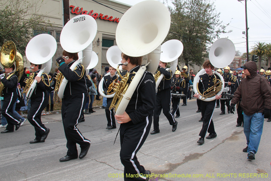 Rex-Organization-2015-19516