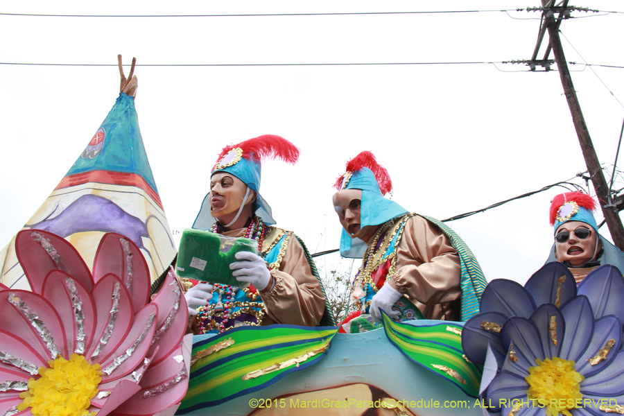 Rex-Organization-2015-19519