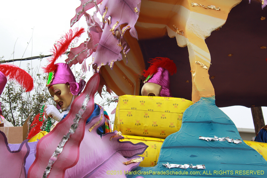 Rex-Organization-2015-19525