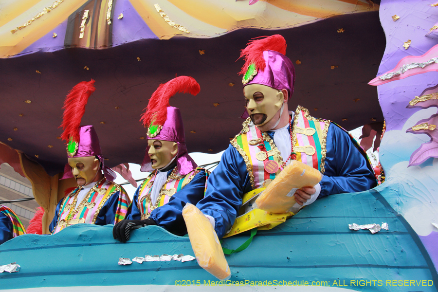 Rex-Organization-2015-19527