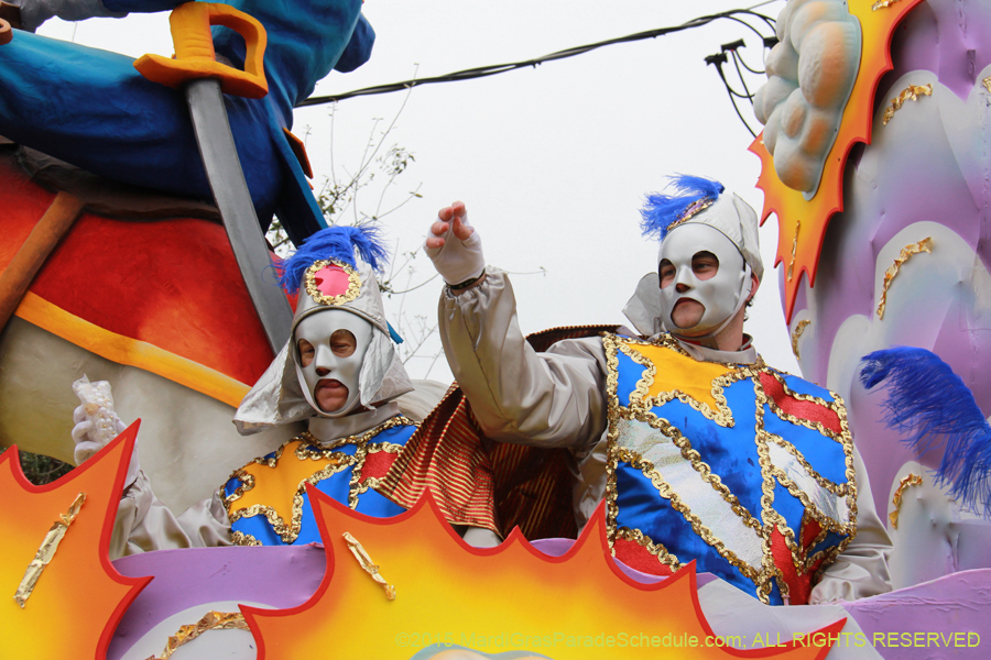 Rex-Organization-2015-19531