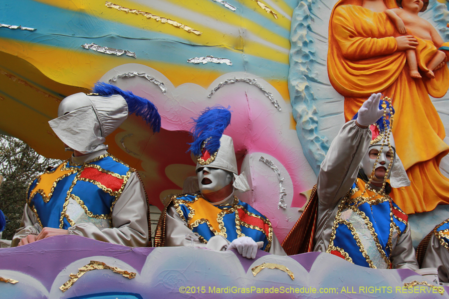 Rex-Organization-2015-19533