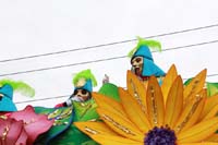 Rex-Organization-2015-19372