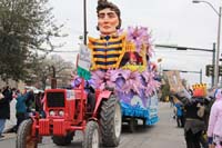 Rex-Organization-2015-19523