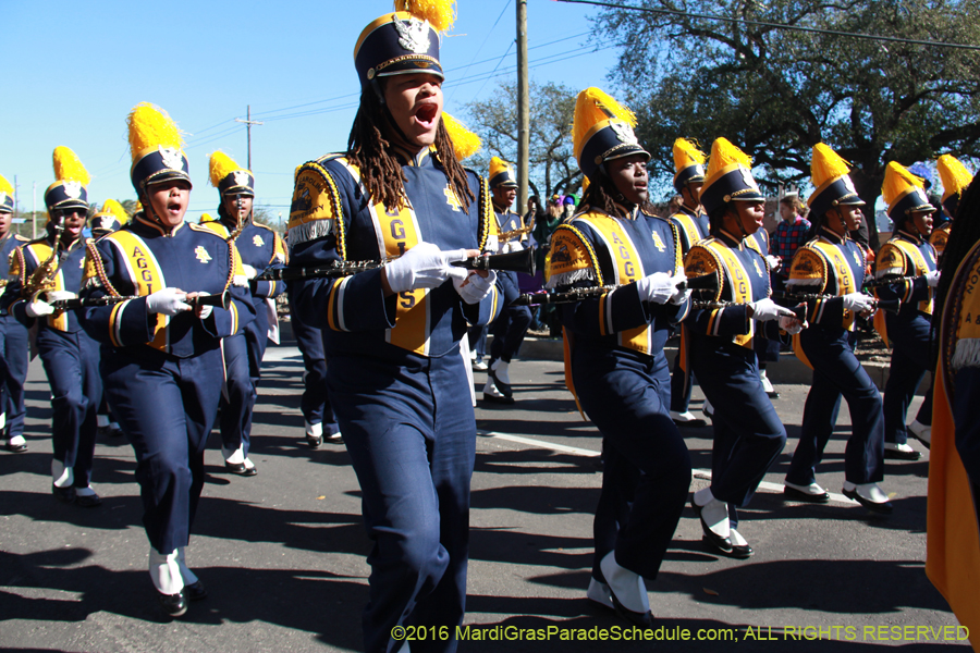 2016-Krewe-of-Rex-014188