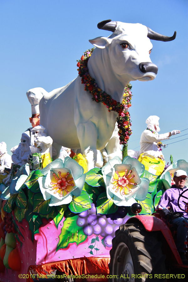 2016-Krewe-of-Rex-014191