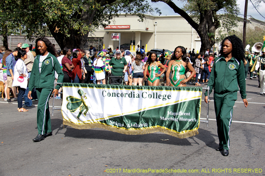 Krewe-of-Rex-2017-12546