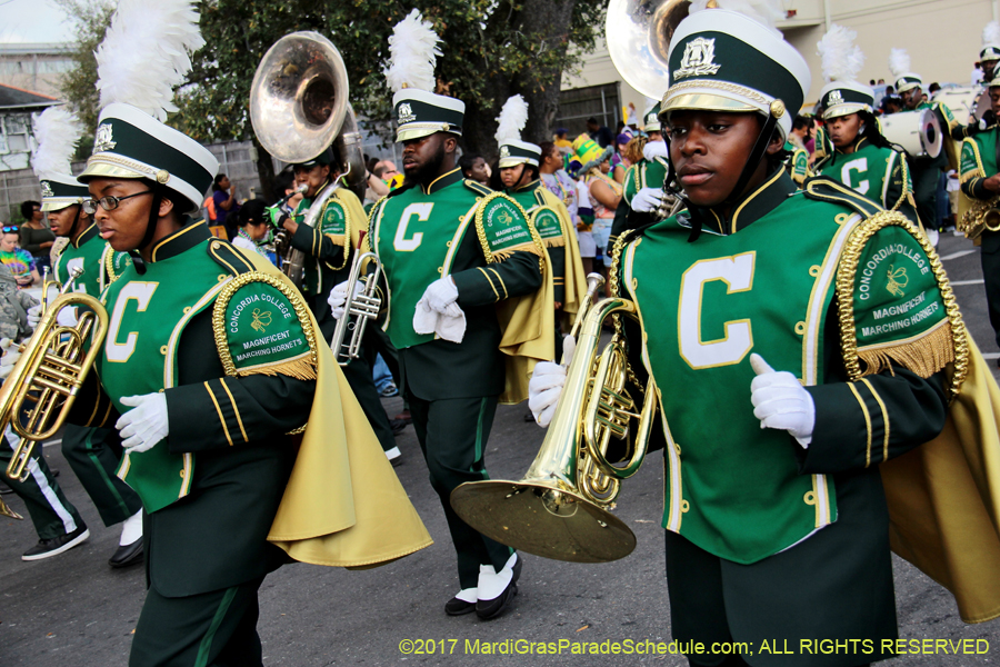 Krewe-of-Rex-2017-12548