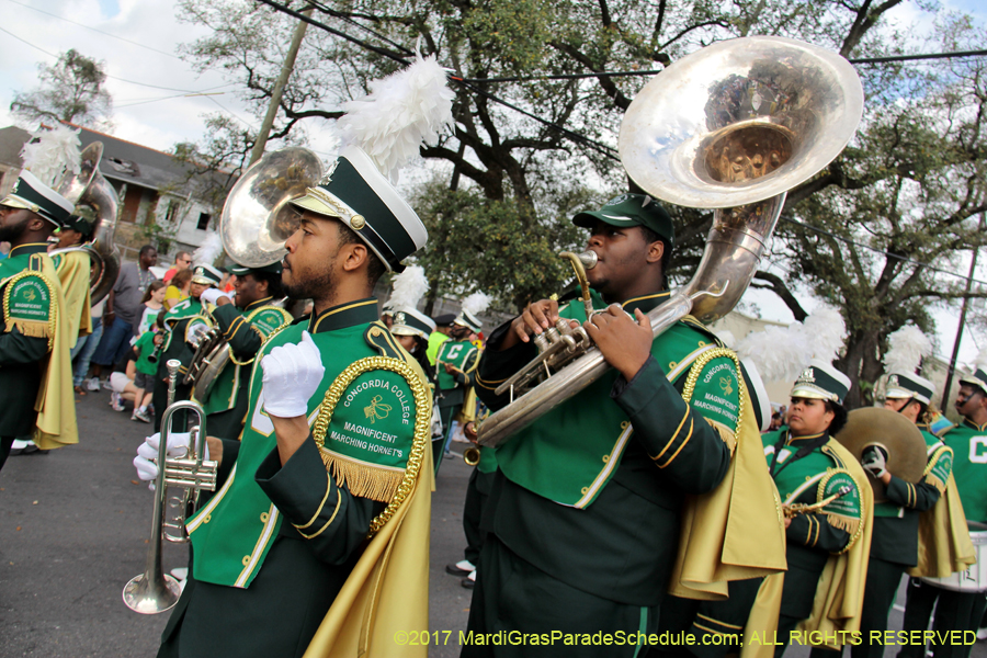Krewe-of-Rex-2017-12549