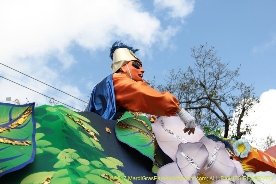 Krewe-of-Rex-2017-12571