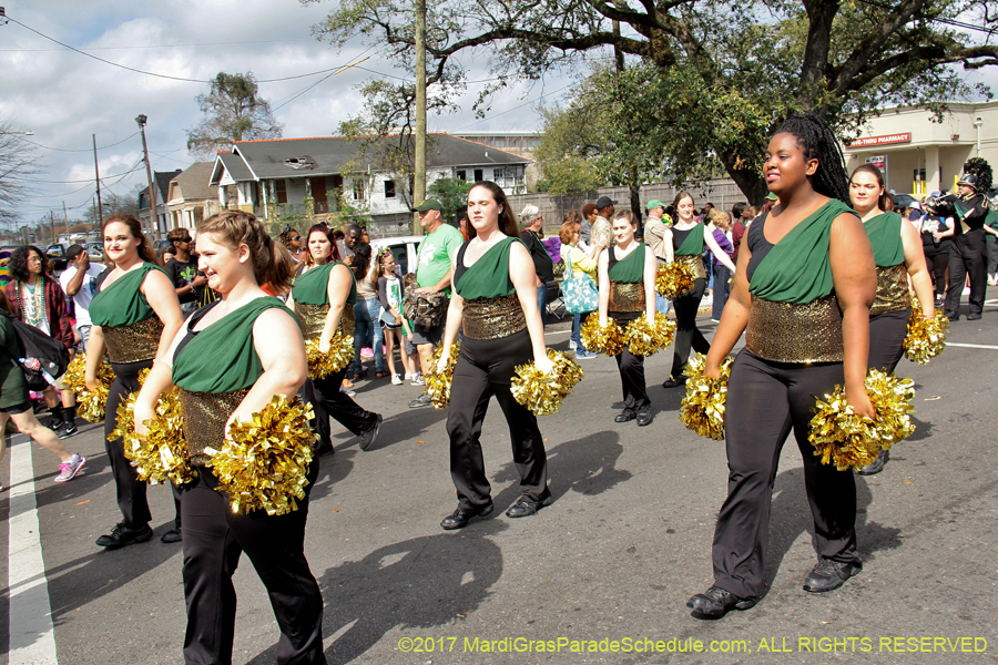 Krewe-of-Rex-2017-12576