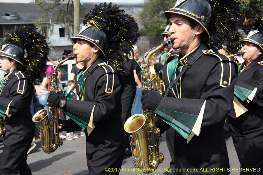 Krewe-of-Rex-2017-12579