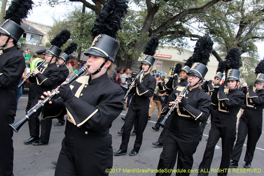 Krewe-of-Rex-2017-12594