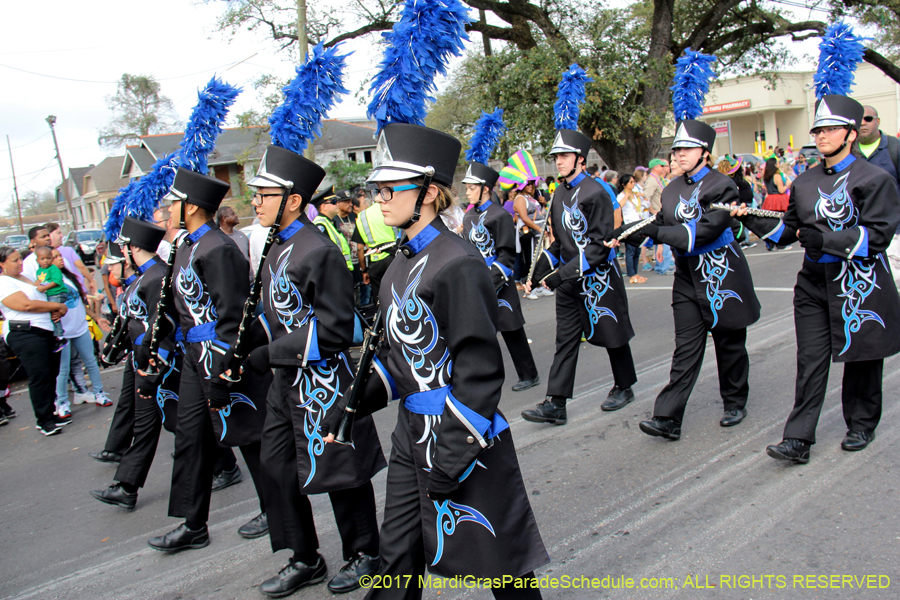 Krewe-of-Rex-2017-12710