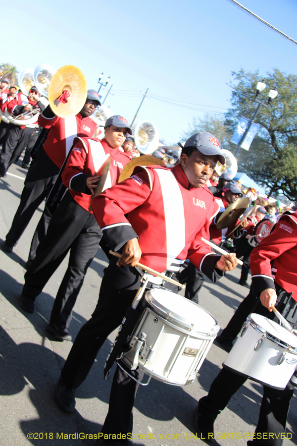 2018-Rex-Organization-00008626