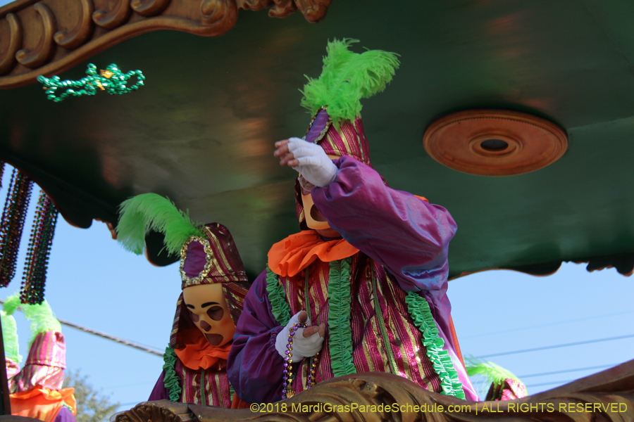 2018-Rex-Organization-00008635