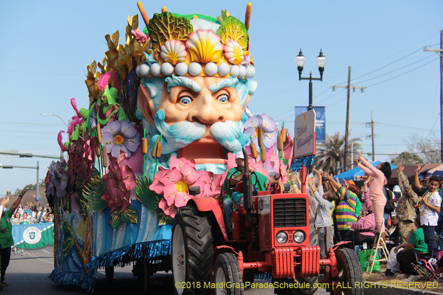 2018-Rex-Organization-00008640