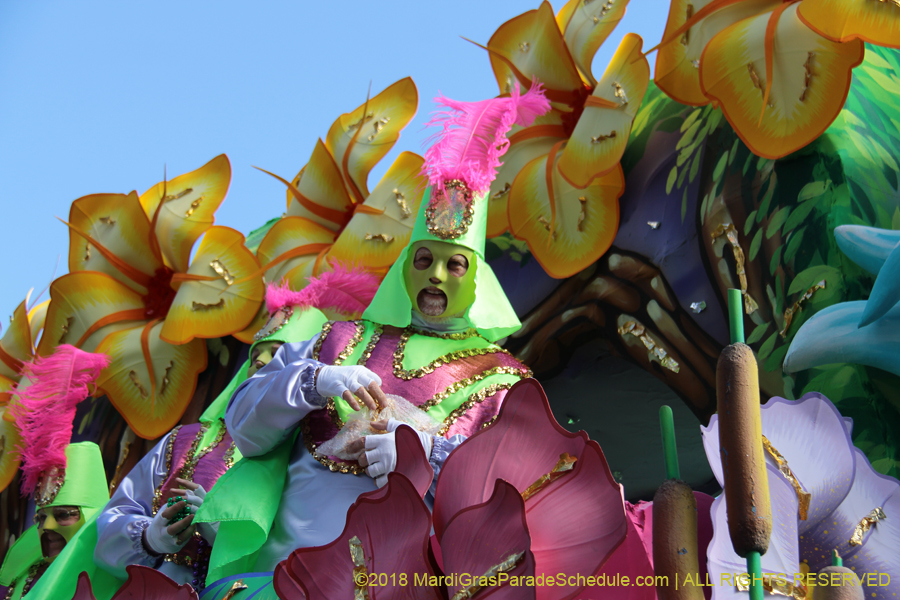 2018-Rex-Organization-00008641