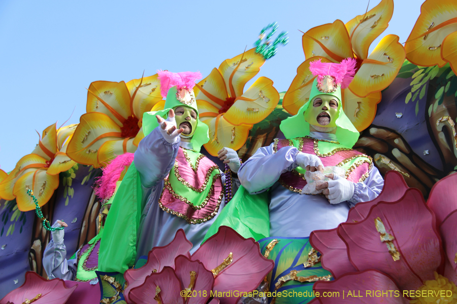 2018-Rex-Organization-00008642