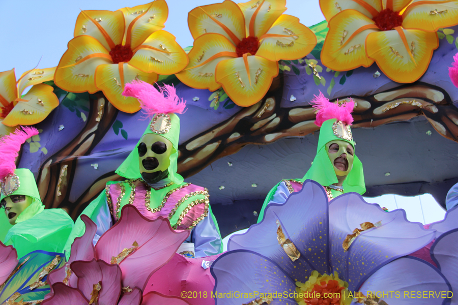 2018-Rex-Organization-00008644