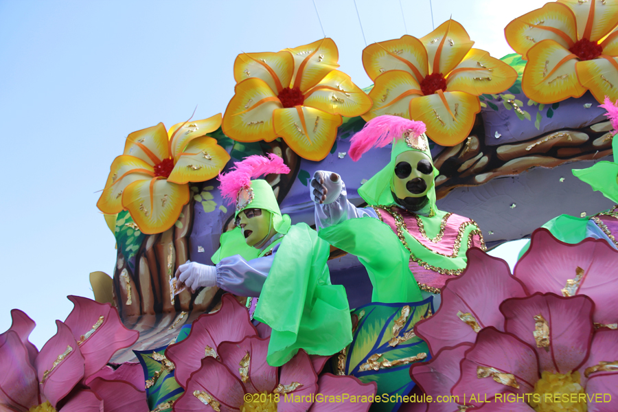 2018-Rex-Organization-00008645